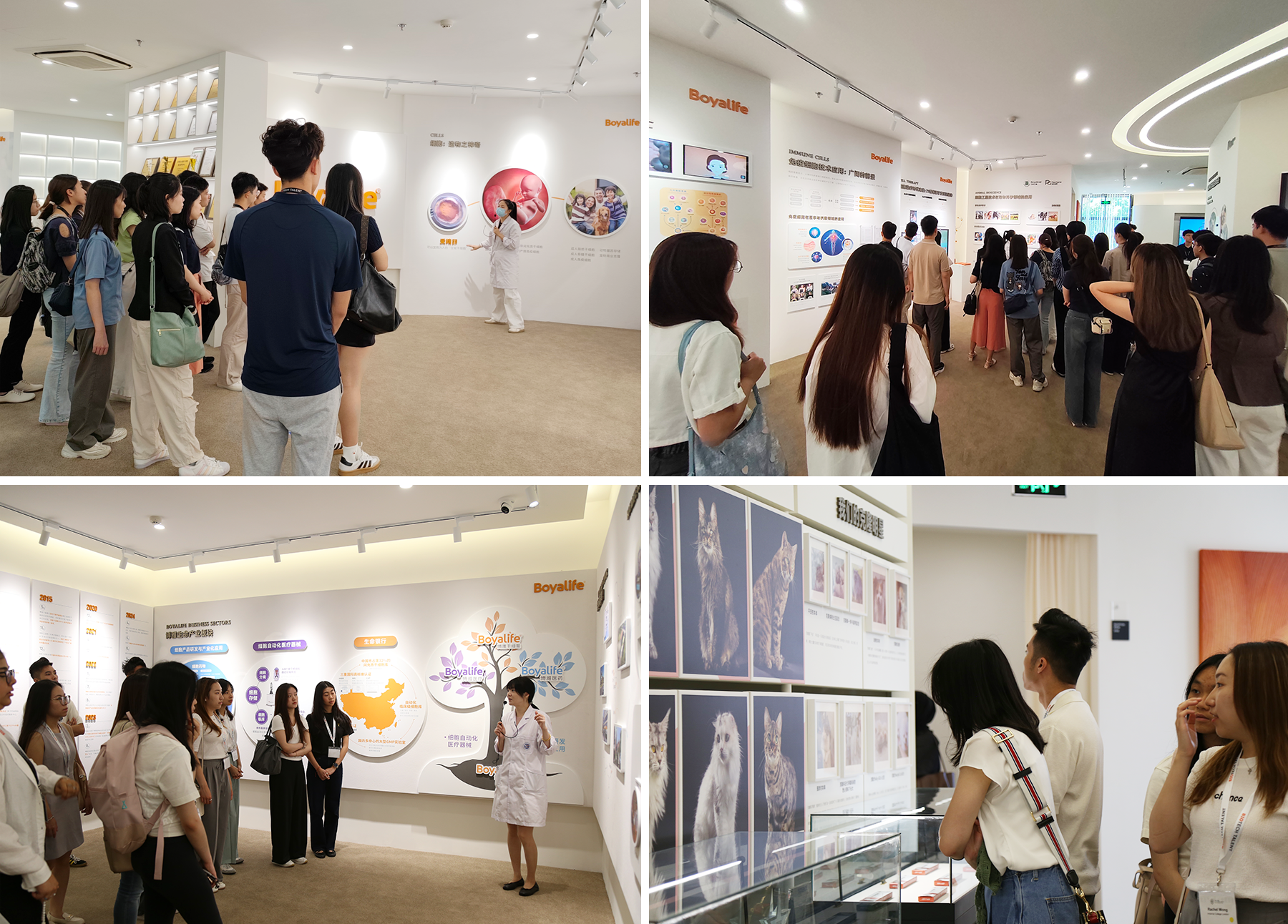 展厅参观.png