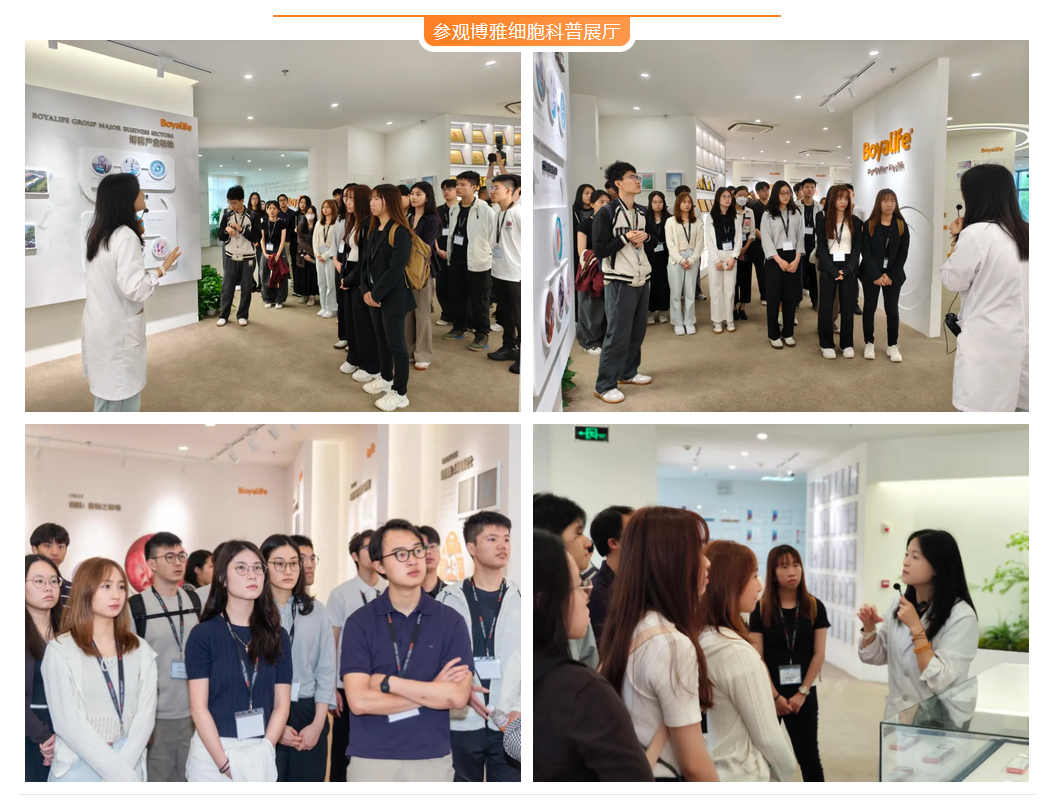 微信图片_2026-06-30_180341_848.png