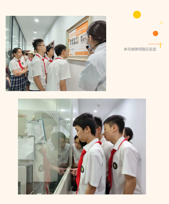 微信图片_2026-07-16_151319_026.png